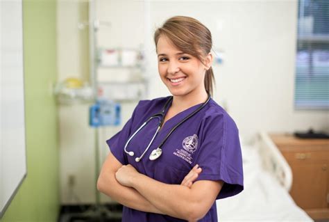 uta nursing online courses